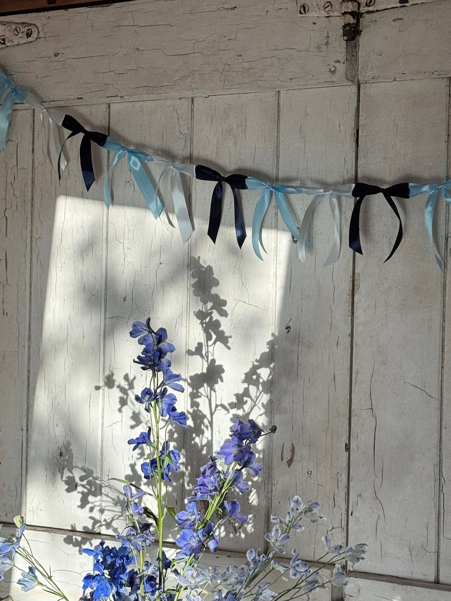 Blue Bow Bunting